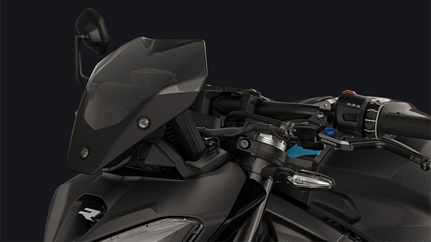 Tinted Sport windscreen - BMW S 1000 R